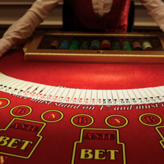 Live dealers at Lucky Tiger an atmospheric experience from home