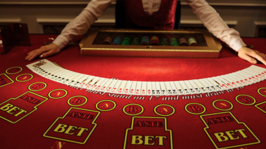 Live dealers at Lucky Tiger an atmospheric experience from home